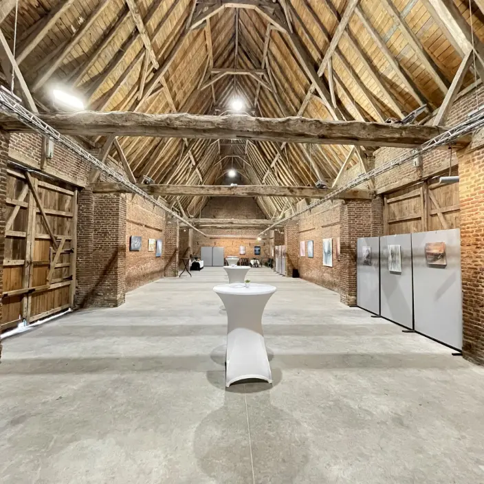 Yelena Bondarenko Expositie Dwarsschuur van 't Goed te Wynckele Gullegem